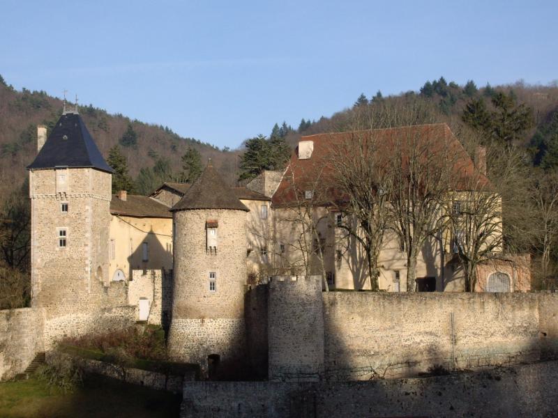 Ch&acirc;teau de Chateldon